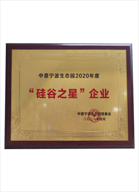 &ldquo;硅谷之星&rdquo;企业